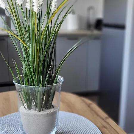 Apartment Paryziaus 8 Klaipeda