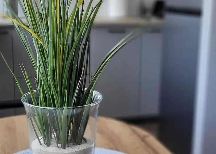 Διαμέρισμα Paryziaus 8 Κλαϊπέντα